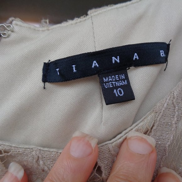 Tianna B sleeveless Lace dress w shimmer & pockets 10 - Picture 7 of 11